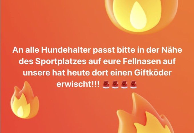 Giftköder-Vergifteter Hund-Profilbild