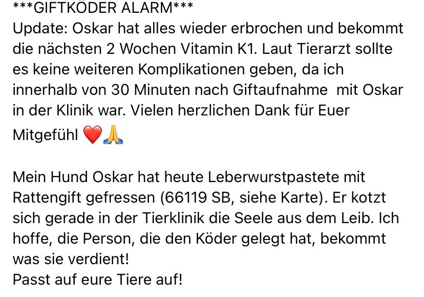 Giftköder-Vergifteter Hund-Profilbild