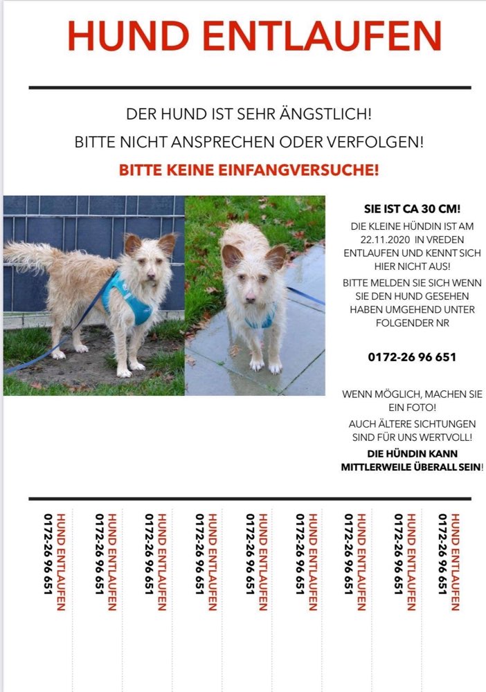 Suchmeldung-Tiffy-Profilbild