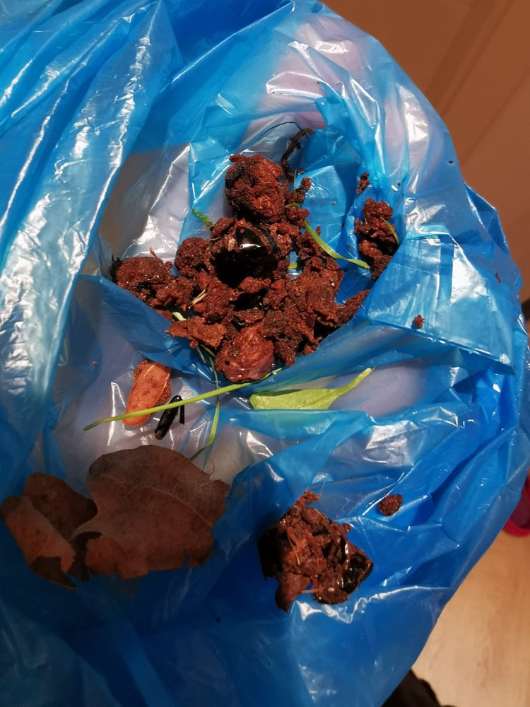 Giftköder-Giftköder Bolzplatz Tiergartenbreite-Profilbild