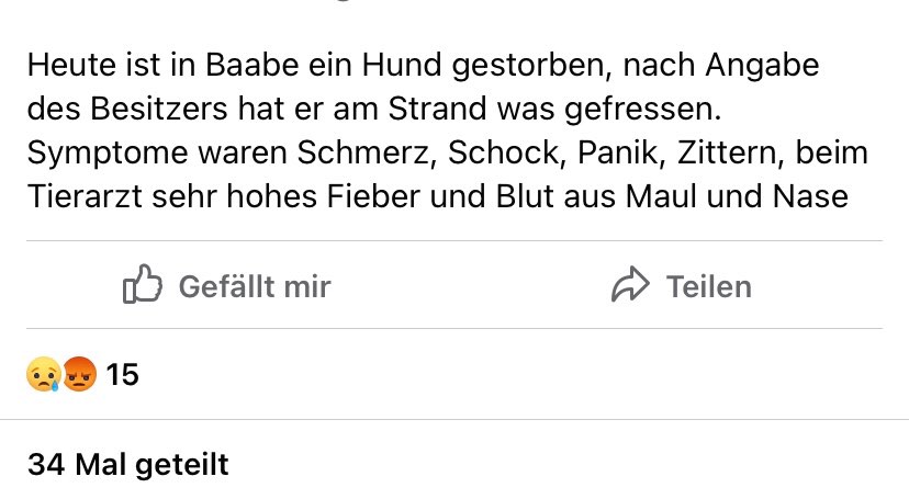 Giftköder-Toter Hund-Profilbild