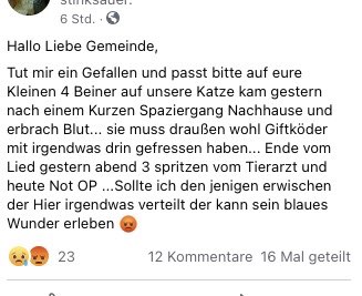 Giftköder-Giftköder - verletze Katze-Profilbild