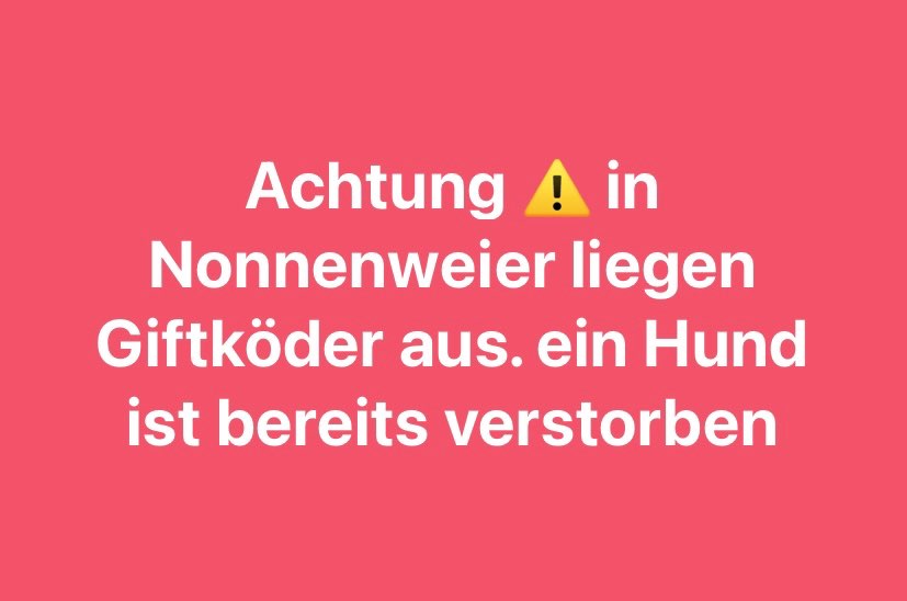 Giftköder-Verstorben Hund-Profilbild