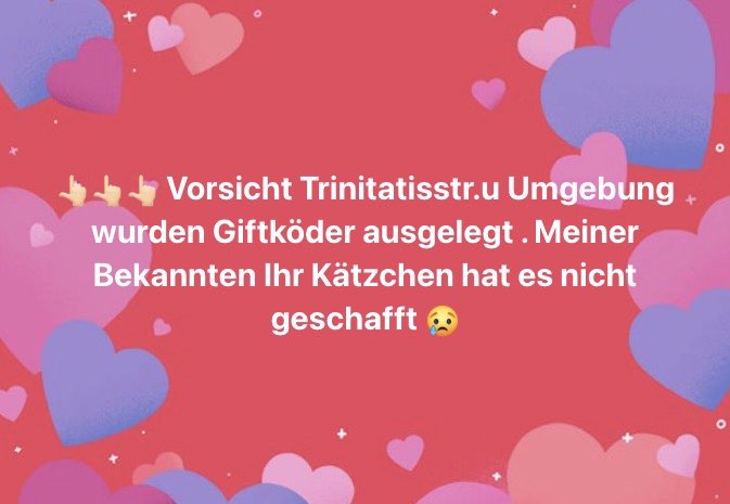 Giftköder-Giftköder-Profilbild