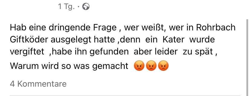 Giftköder-Vergifteter Kater-Profilbild