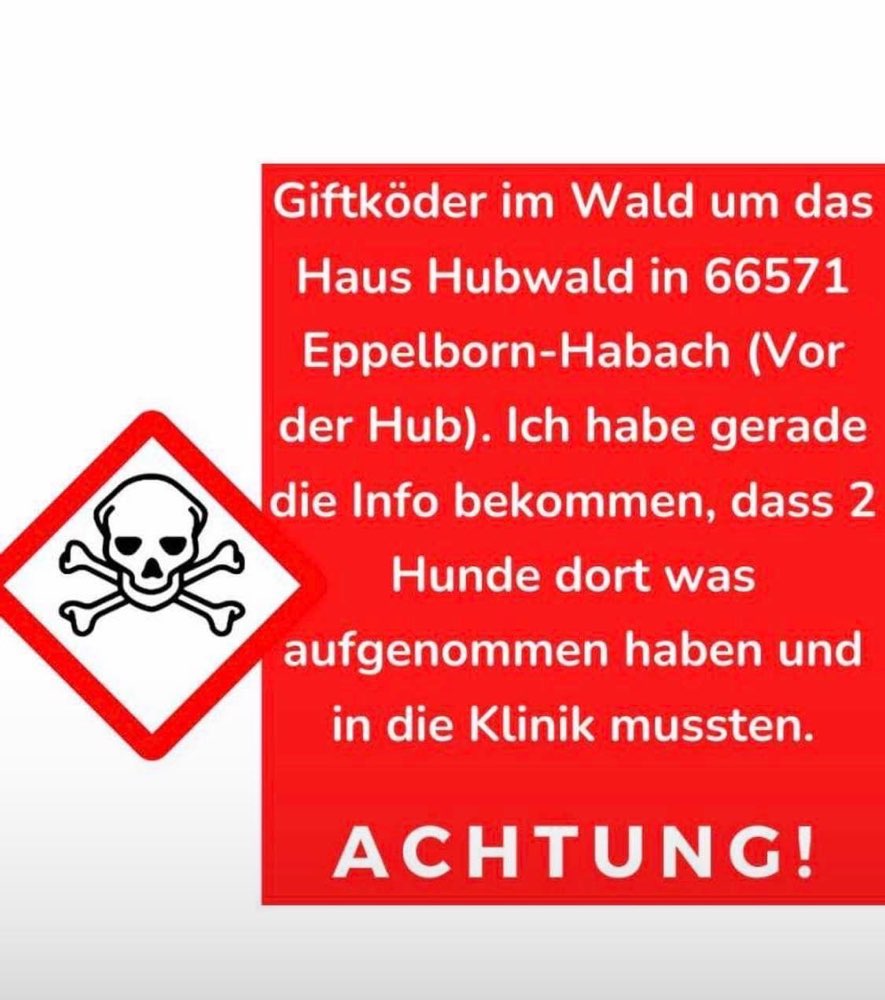 Giftköder-Giftköder-Profilbild