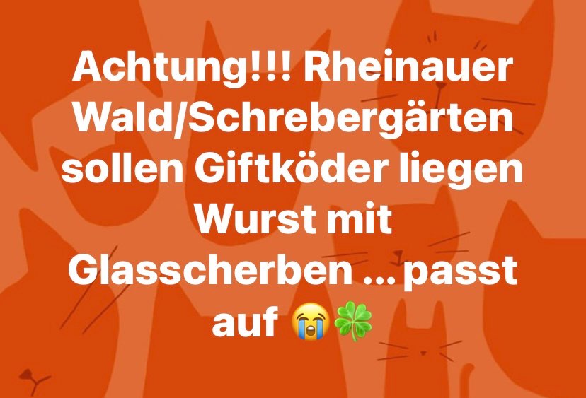 Giftköder-Giftköder aus Scherben-Profilbild