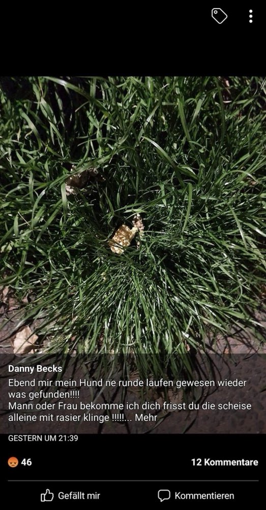 Giftköder-Fleischbällchen mit Rasierklingen-Profilbild