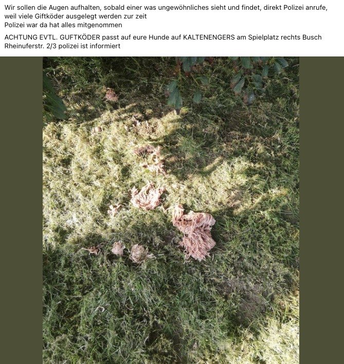 Giftköder-Möglicher Giftköder-Profilbild