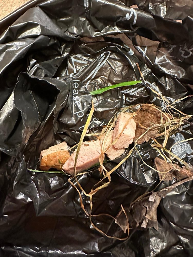 Giftköder-Giftköder-Profilbild