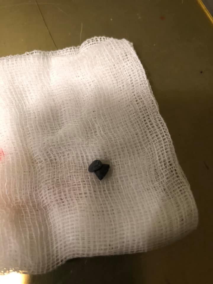 Giftköder-Angeschossene Katze-Profilbild