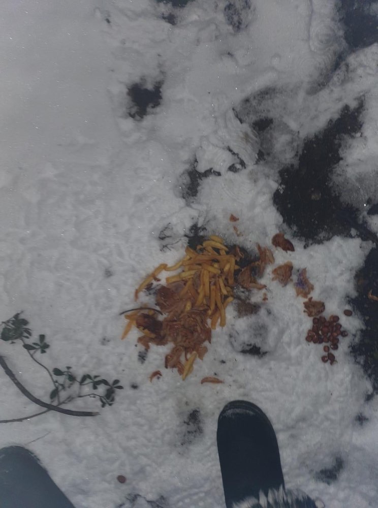 Giftköder-Vermutlich Köder-Profilbild