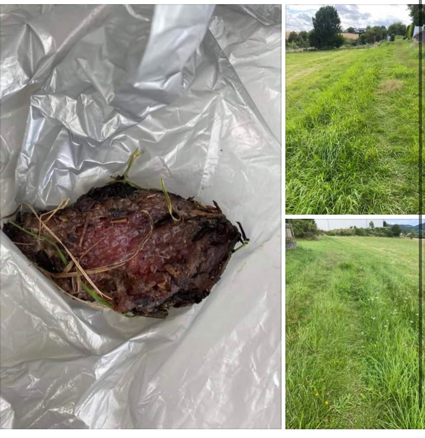 Giftköder-Fleischstücke Nähe Bukuma-Profilbild