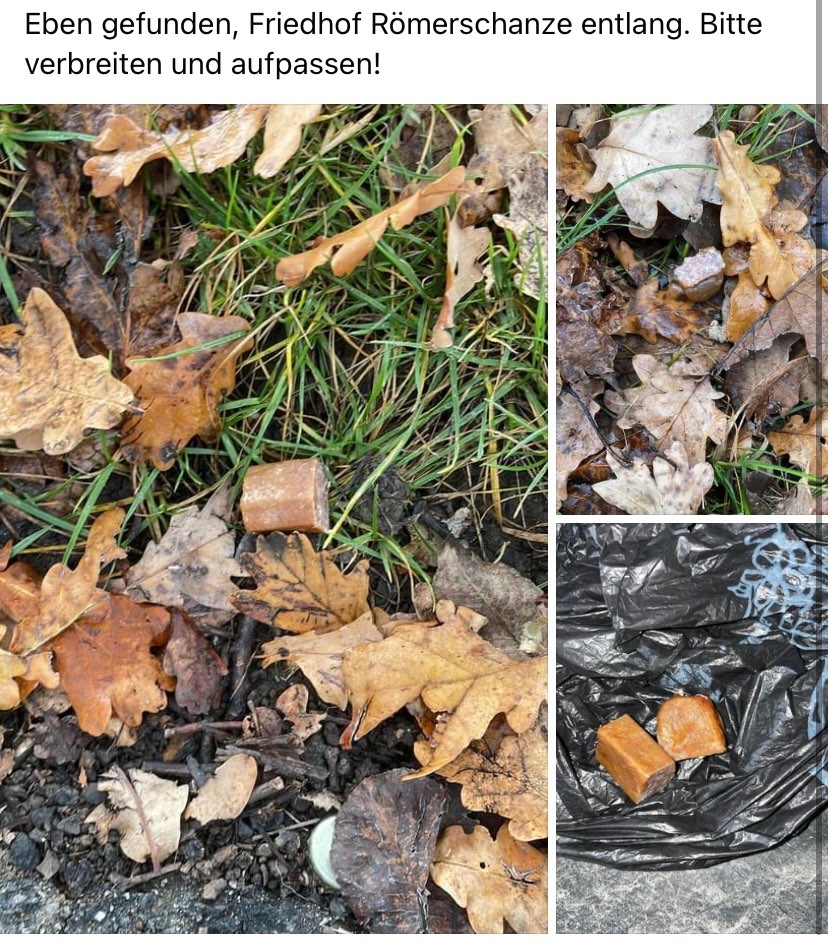 Giftköder-Möglicher Giftköder-Profilbild