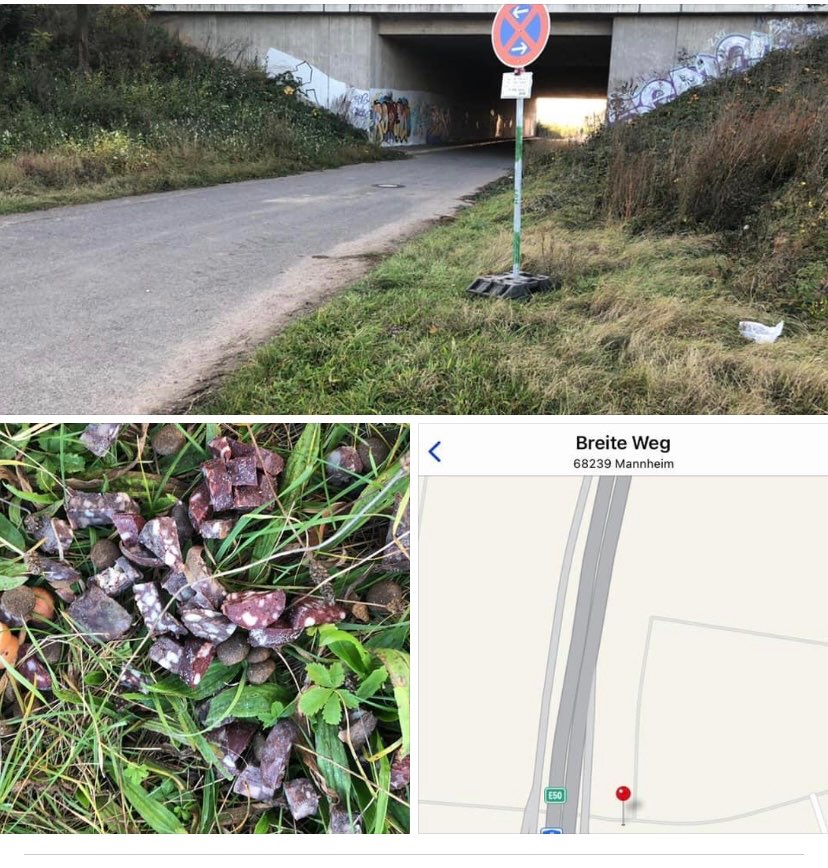 Giftköder-Ausgelegtes Futter-Profilbild