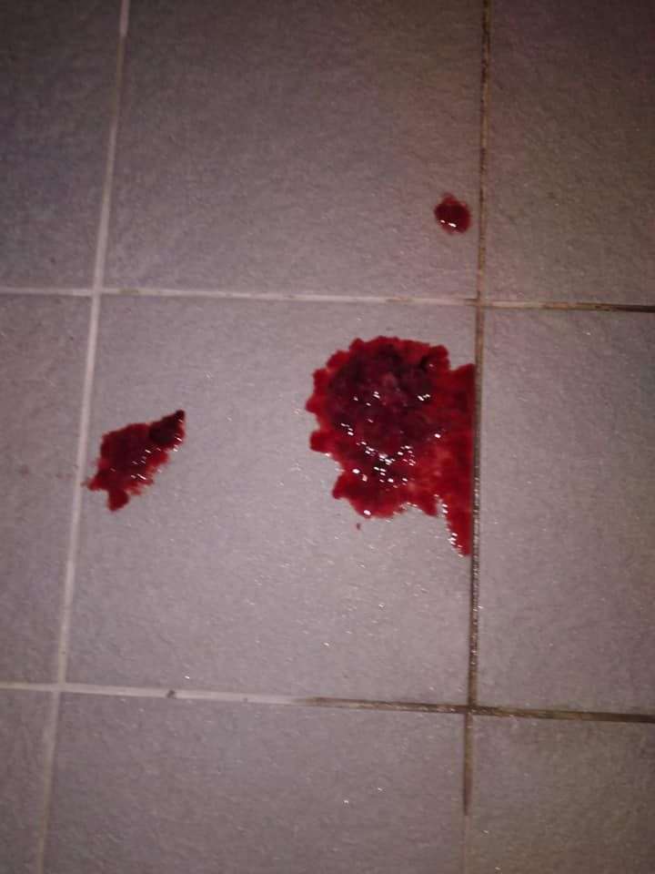 Giftköder-Giftköder in Hemshof-Profilbild