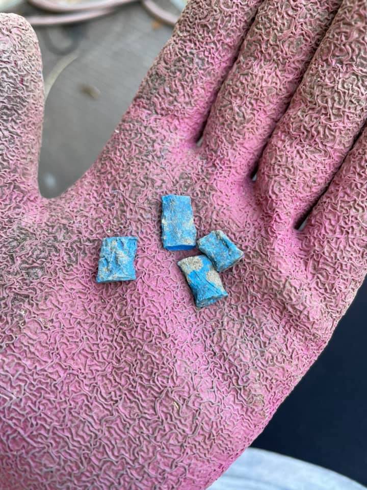 Giftköder-Rattengift-Profilbild