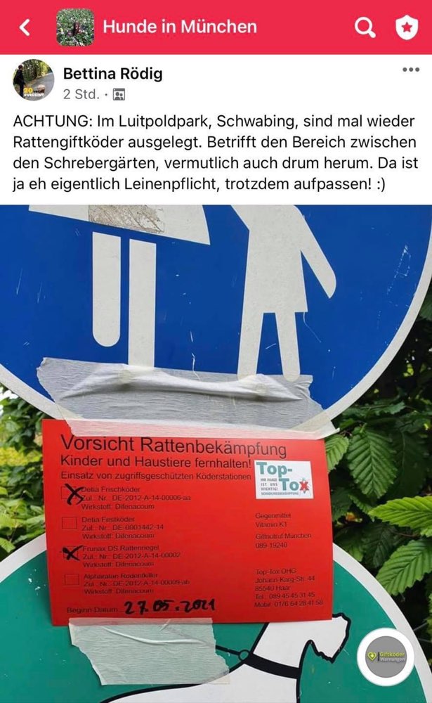 Giftköder-Rattengiftköder-Profilbild
