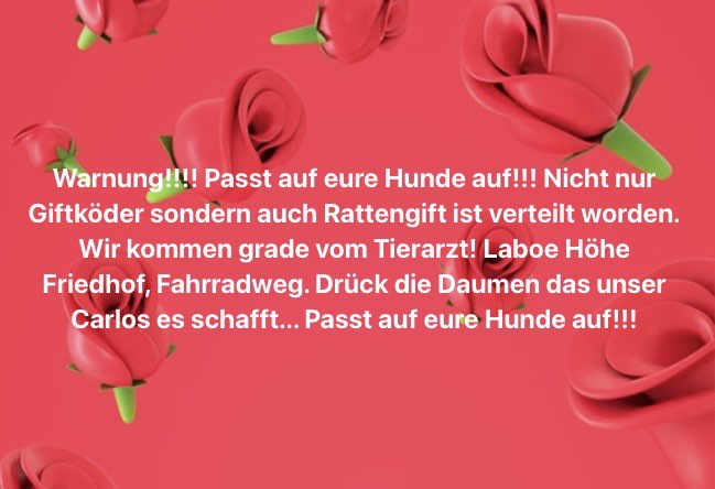 Giftköder-Rattengift-Profilbild