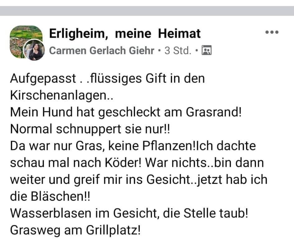 Giftköder-Giftköder-Profilbild