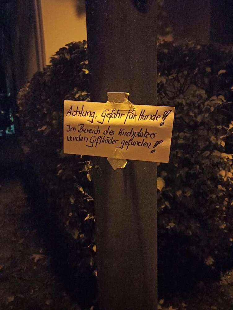 Giftköder-Giftköder-Profilbild