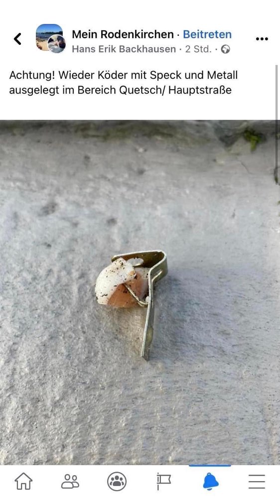 Giftköder-Giftkoder (Speck mit Metall)-Profilbild