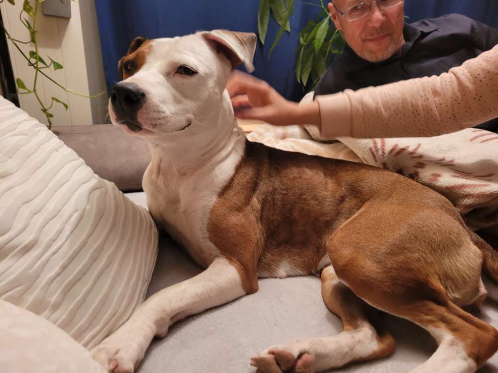 Suchmeldung-Maxie-Profilbild