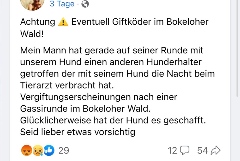 Giftköder-Giftköder-Profilbild