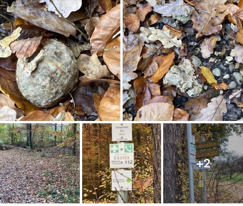 Giftköder-Möglicher Giftköder-Profilbild