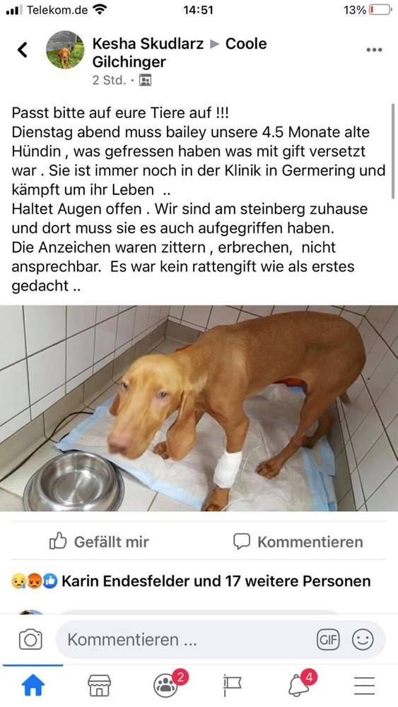 Giftköder-Giftköder-Profilbild