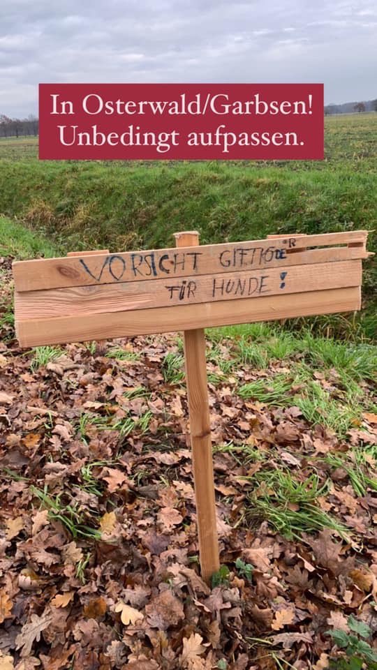 Giftköder-Giftköder-Profilbild