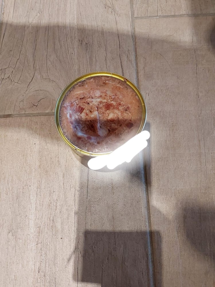 Giftköder-Hundefutter vermutlich vergiftet-Profilbild