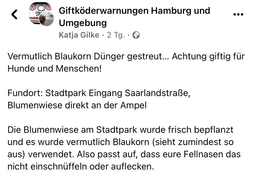Giftköder-Blaukorn-Profilbild