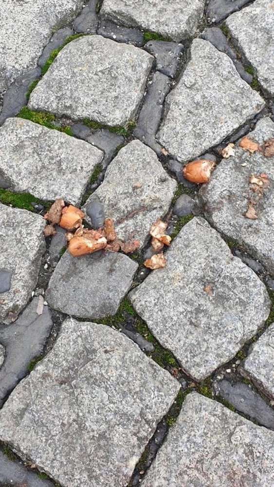 Giftköder-Wiener mit Rattengift-Profilbild