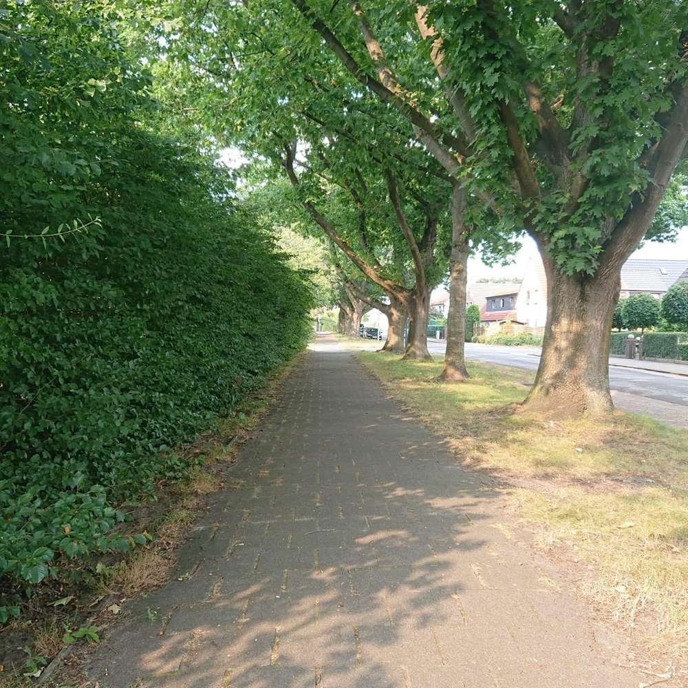 Giftköder-Köder mit Glasscherbe-Profilbild