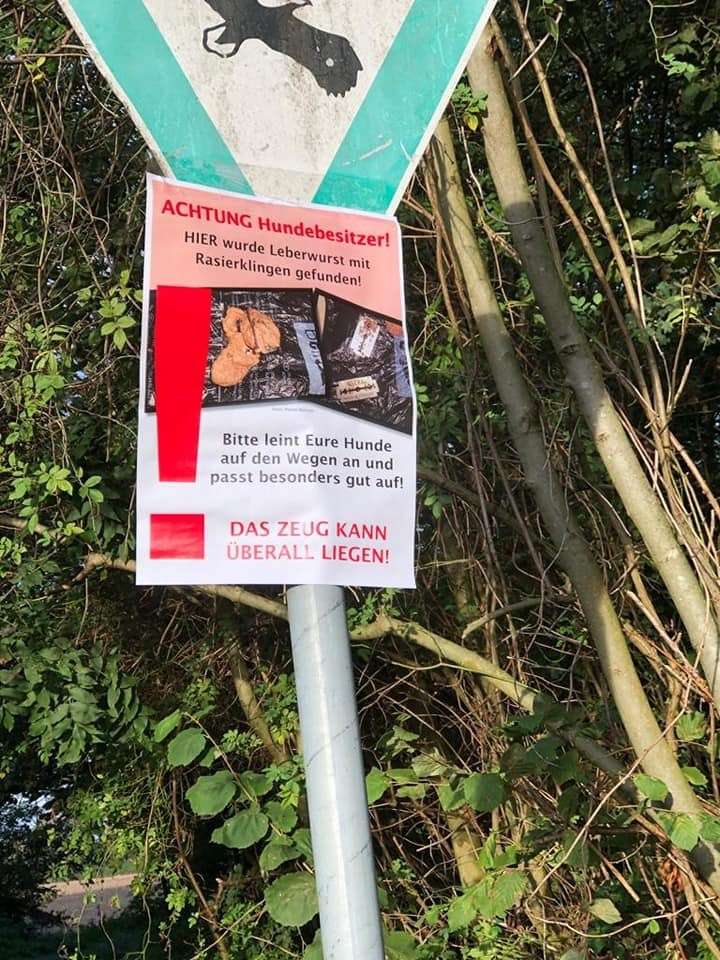 Giftköder-Giftköder-Profilbild