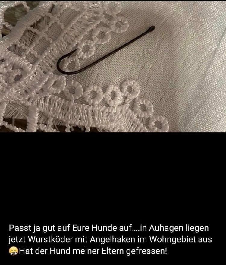 Giftköder-Ausgelegte Angelhaken-Profilbild