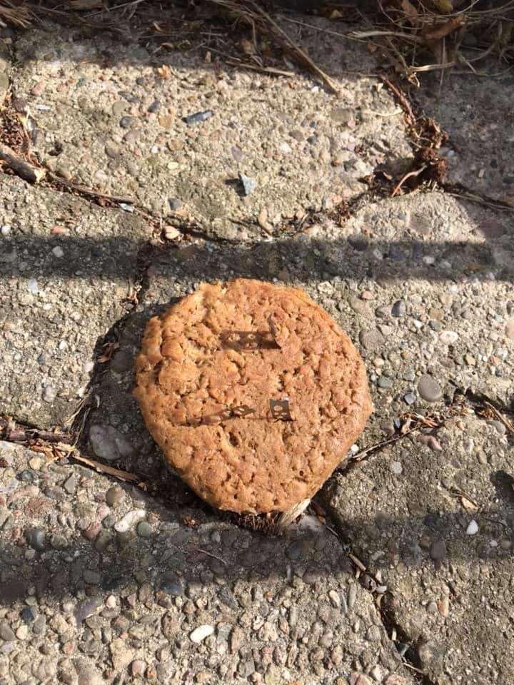 Giftköder-Rasierklingen-Profilbild