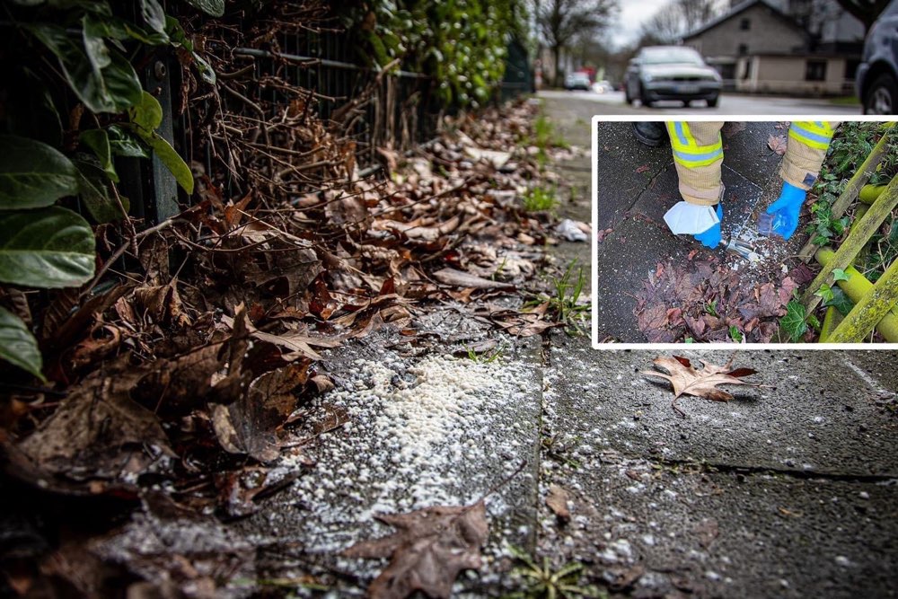 Giftköder-Unbekannte Substanz löst Feuerwehreinsatz aus.-Profilbild