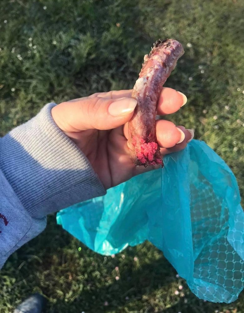 Giftköder-Fleisch mit Gift-Profilbild