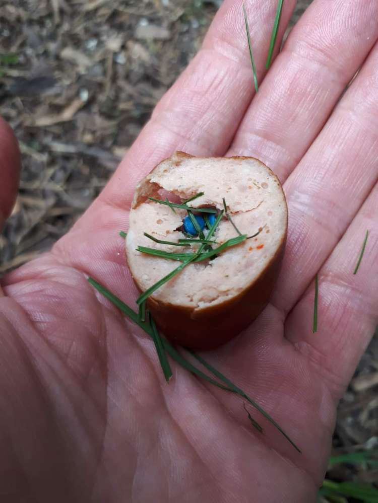 Giftköder-Giftköder-Profilbild