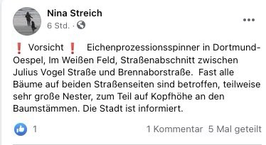 Giftköder-Eichenprozesspinner-Profilbild