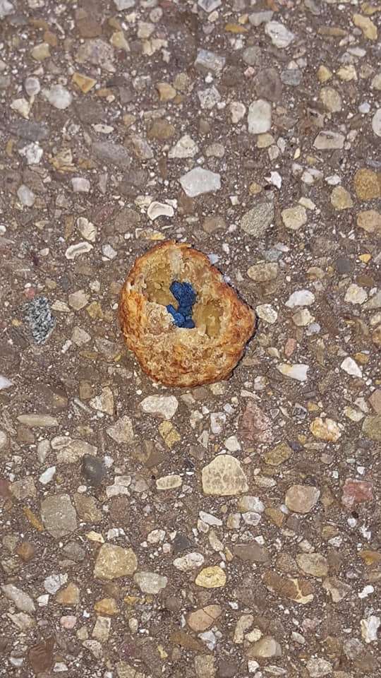 Giftköder-Hackfleisch mit Rattengift-Profilbild