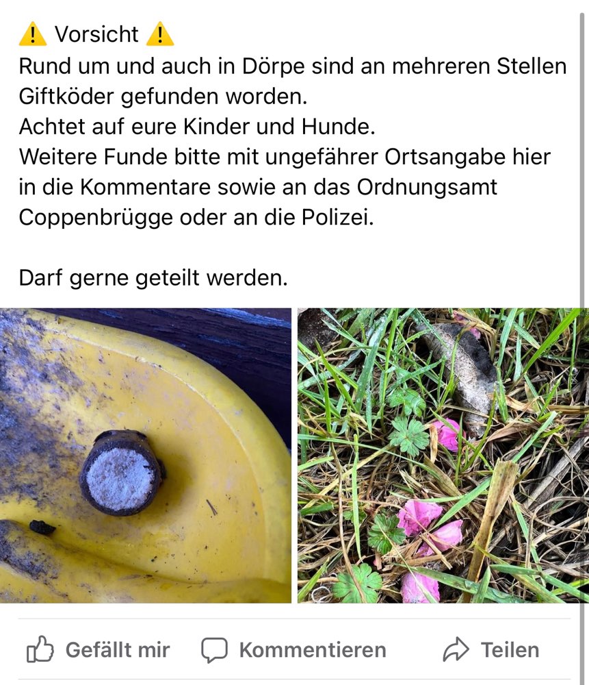 Giftköder-Mehrere Giftköder-Profilbild