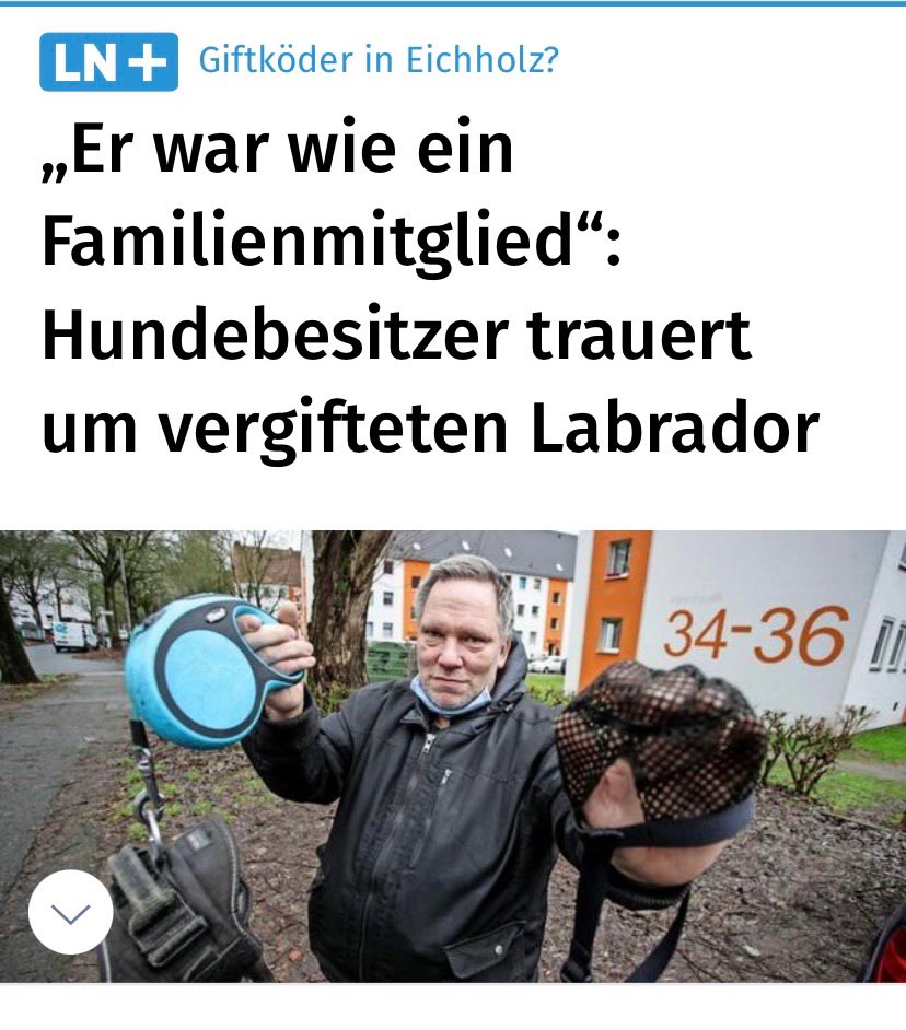 Giftköder-Vergifteter Hund-Profilbild