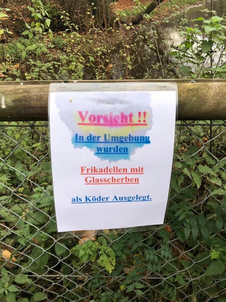 Giftköder-Frikadellen mit Glasscherben-Profilbild