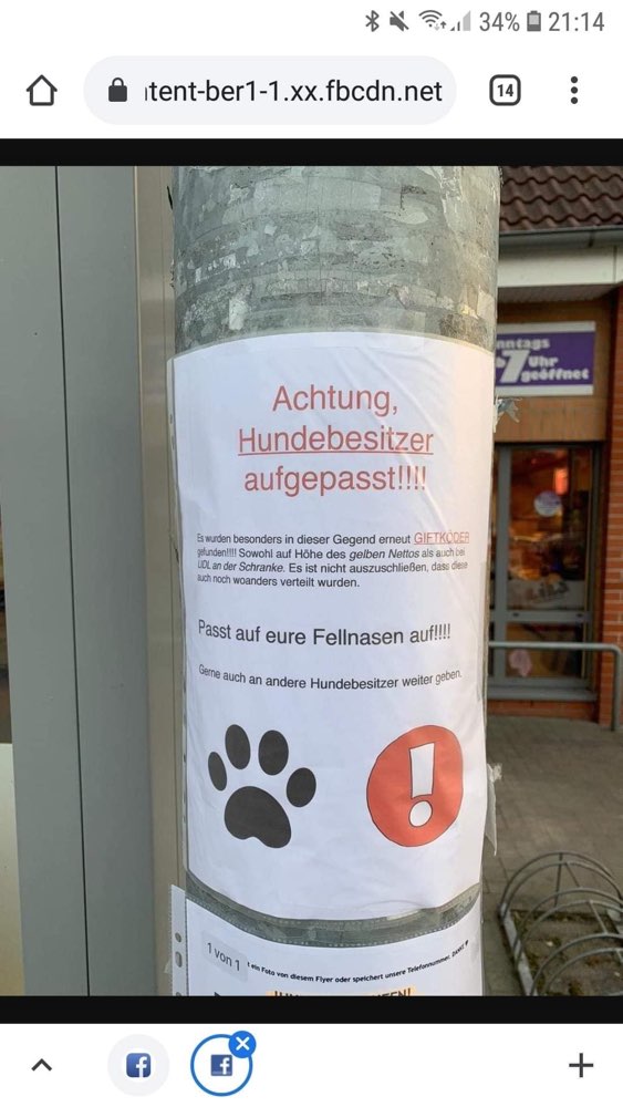 Giftköder-Giftköder-Profilbild