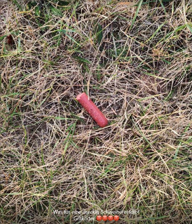 Giftköder-Giftköder Wurst-Profilbild