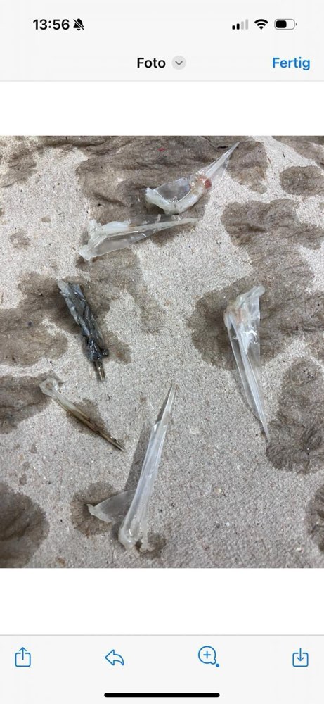 Giftköder-Giftköder-Profilbild