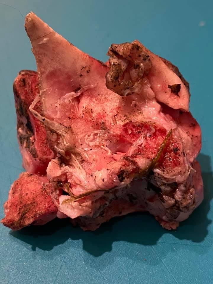 Giftköder-Präparierte Knochen-Profilbild